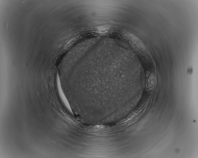 X0000098180562200805151143