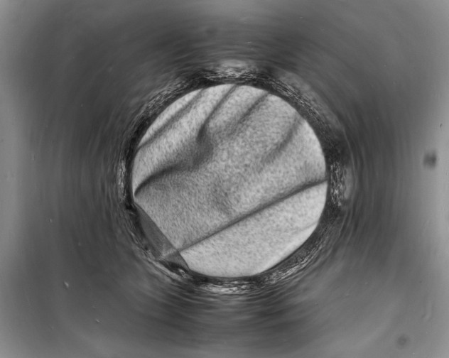 X0000098180563200805151143