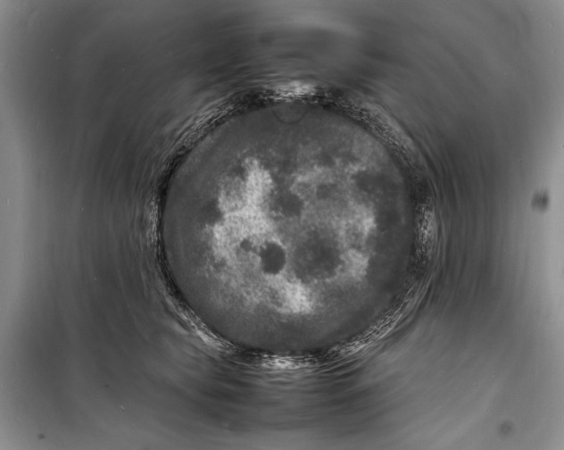 X0000098180565200805151143