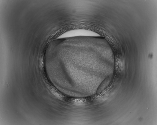 X0000098180566200805151143