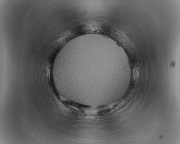 X0000098180570200805151143