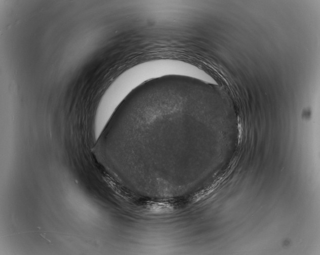 X0000098180572200805151143