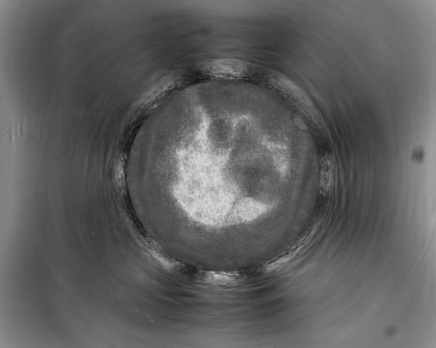 X0000098180573200805151143