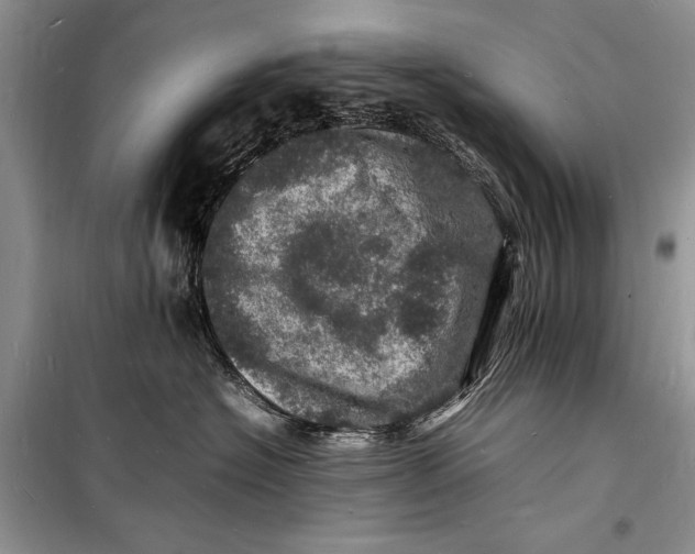 X0000098180574200805151143