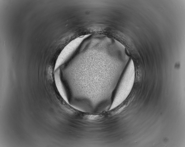 X0000098180575200805151143