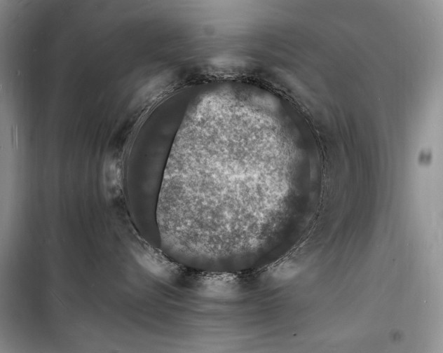 X0000098180576200805151143