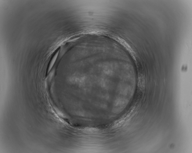 X0000098180577200805151142