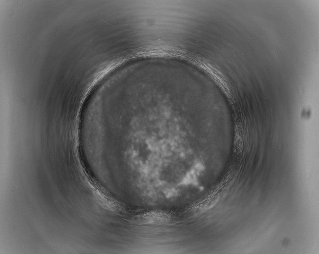 X0000098180578200805151142