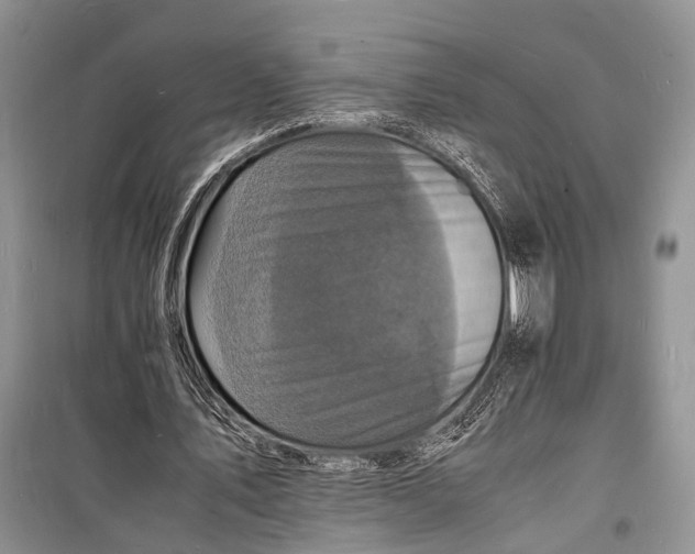 X0000098180579200805151142