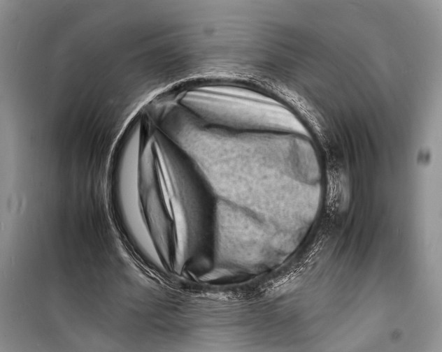 X0000098180580200805151142