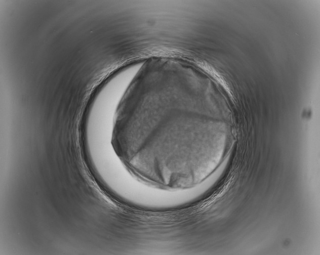 X0000098180581200805151142