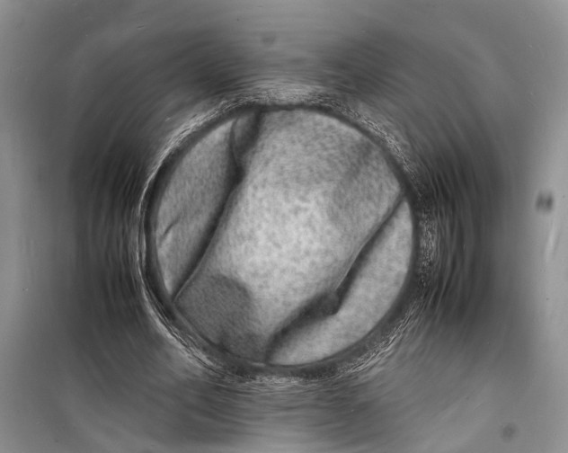 X0000098180582200805151142