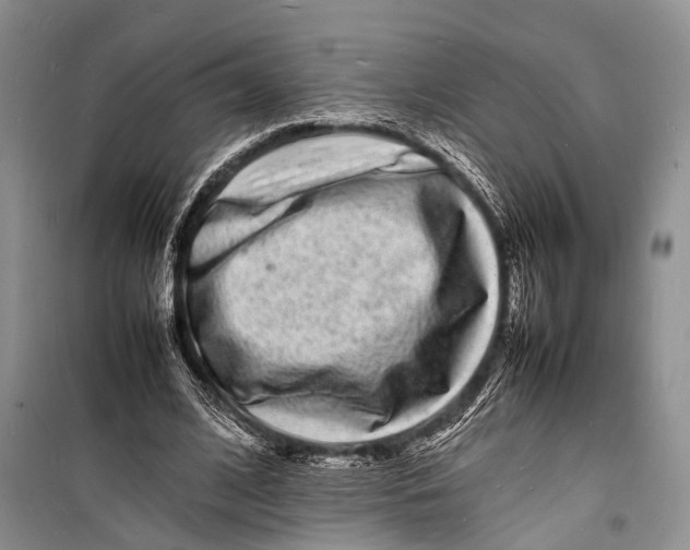 X0000098180584200805151142