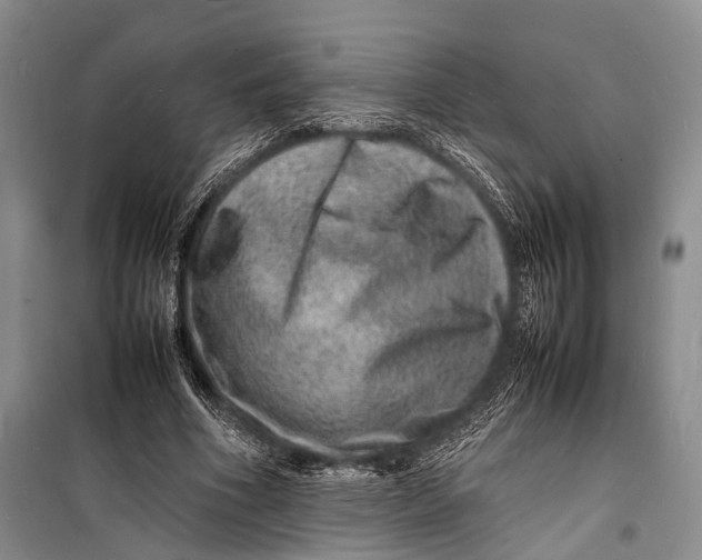 X0000098180586200805151142