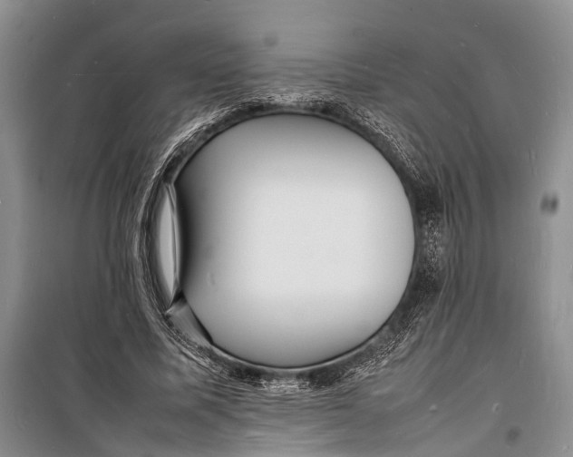 X0000098180587200805151142