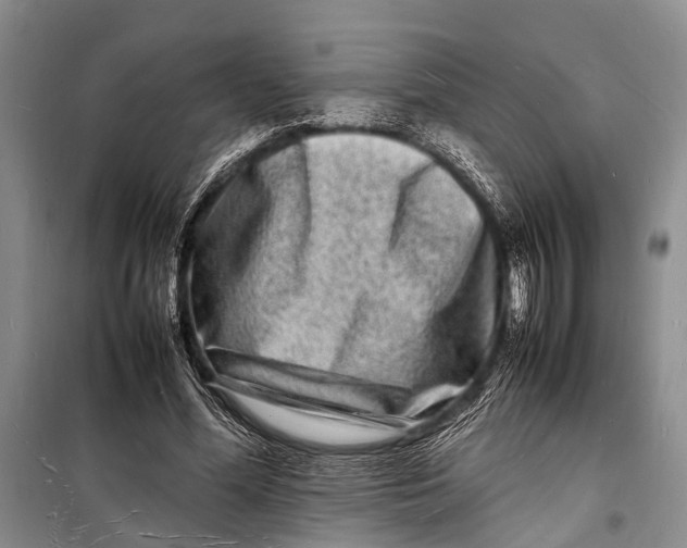 X0000098180588200805151142