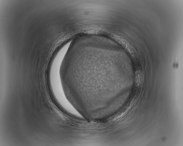 X0000098180589200805151142