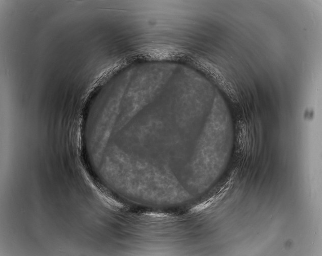 X0000098180590200805151142