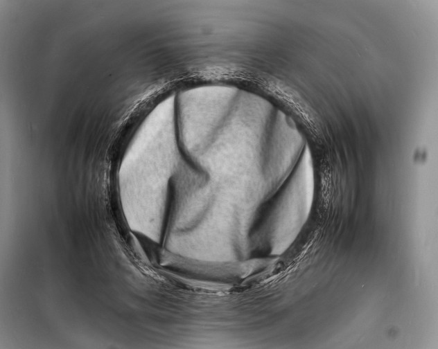 X0000098180592200805151142