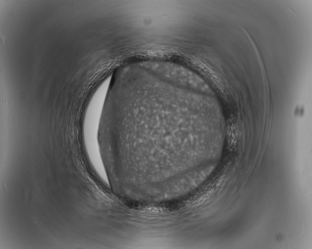 X0000098180593200805151142