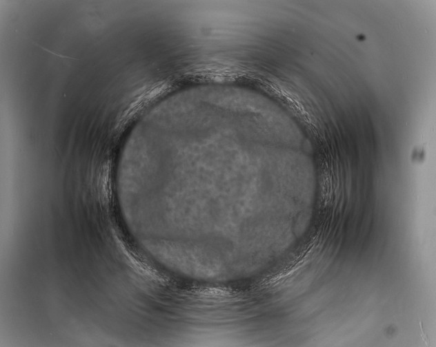 X0000098180594200805151142