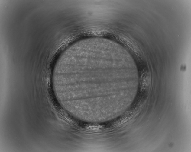 X0000098180595200805151142