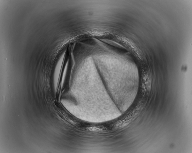 X0000098180596200805151142