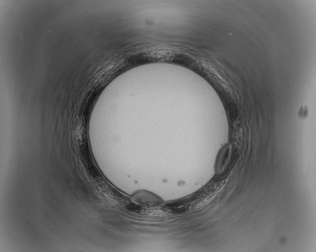 X0000098180597200805151142