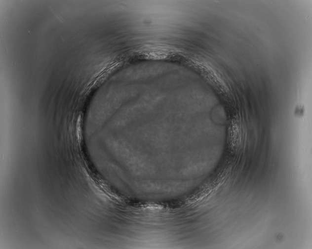 X0000098180598200805151142