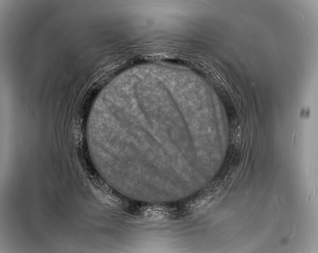 X0000098180599200805151142