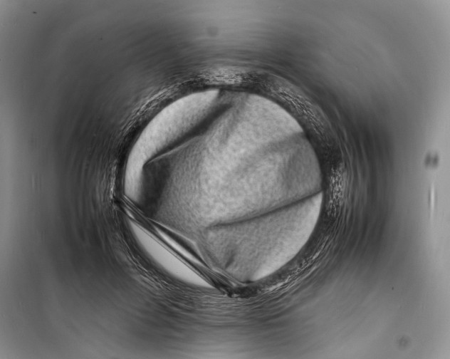 X0000098180600200805151142