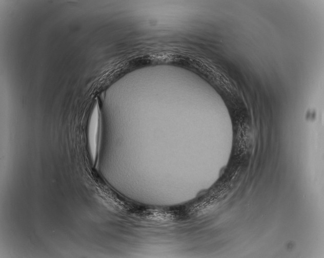 X0000098180601200805151142