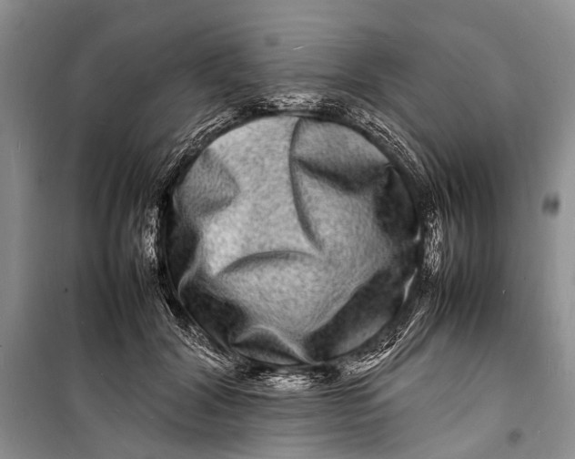 X0000098180604200805151142