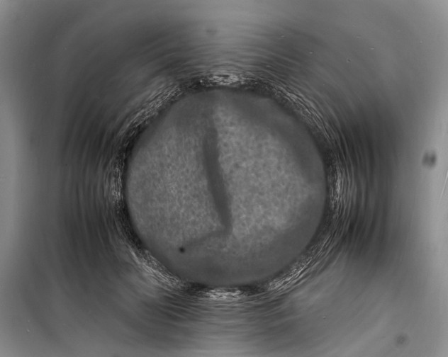 X0000098180606200805151142