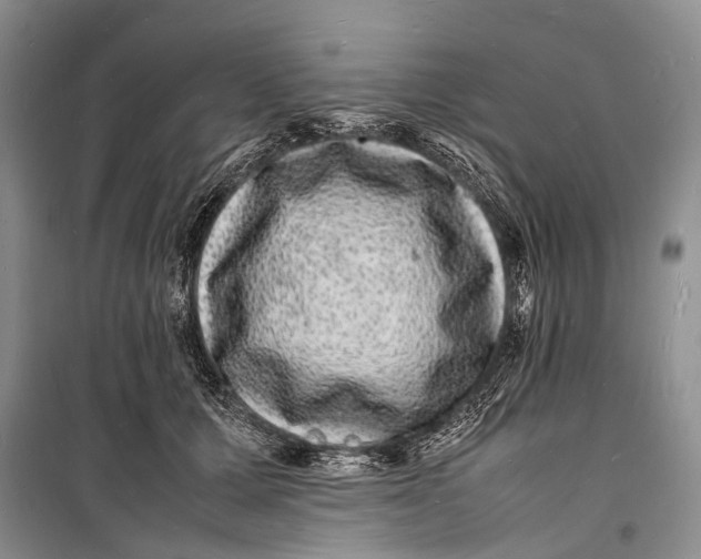 X0000098180607200805151142