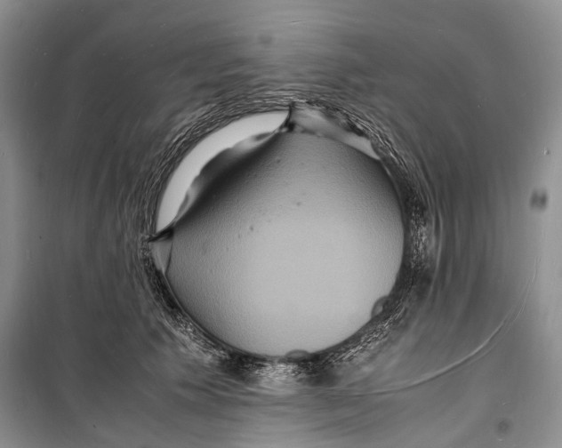 X0000098180609200805151142