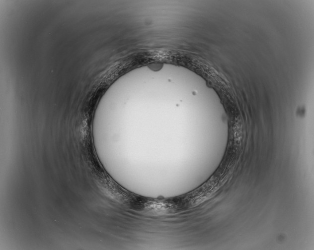 X0000098180611200805151142