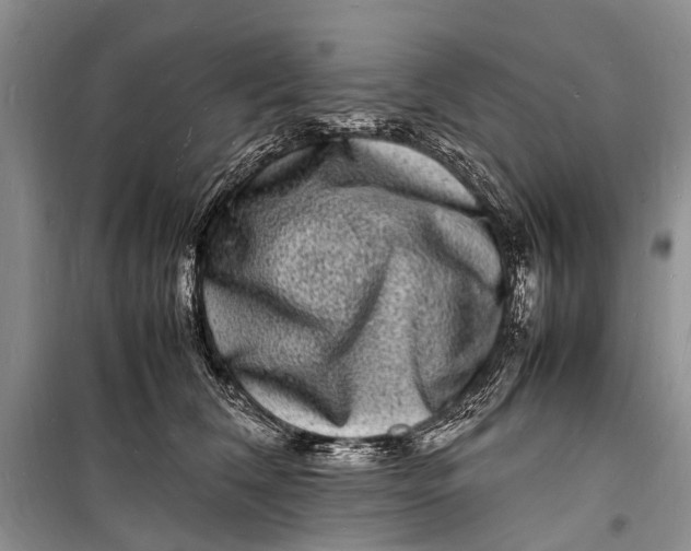 X0000098180612200805151142