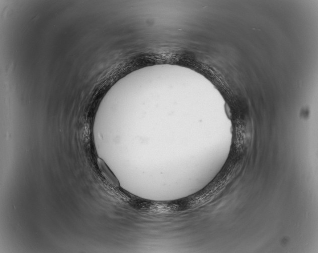 X0000098180613200805151142