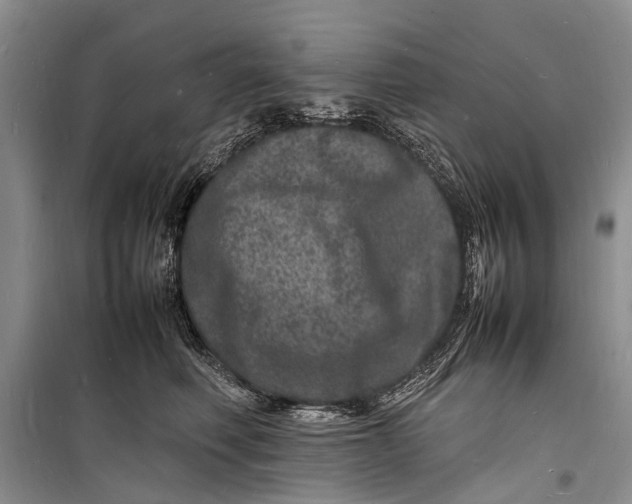 X0000098180614200805151142