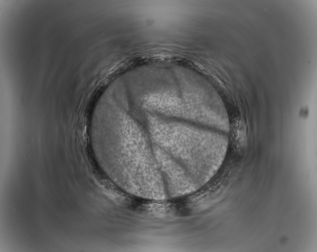 X0000098180615200805151142