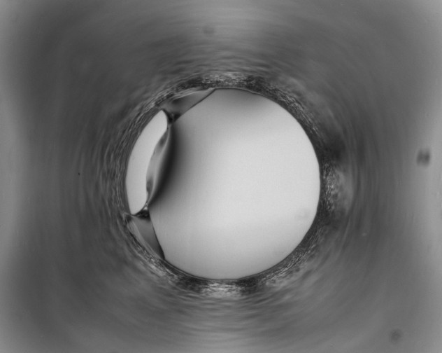 X0000098180617200805151142