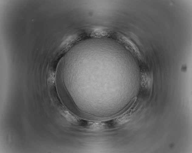 X0000098180621200805151142