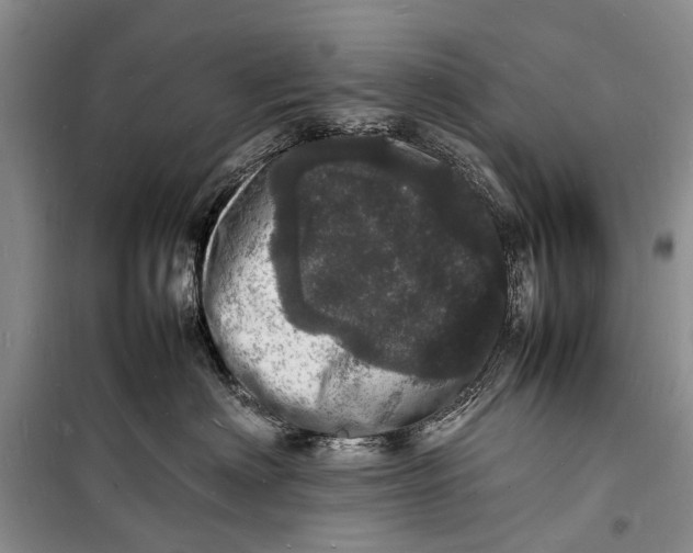 X0000098180622200805151142