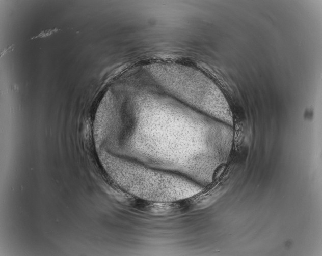 X0000098180623200805151142