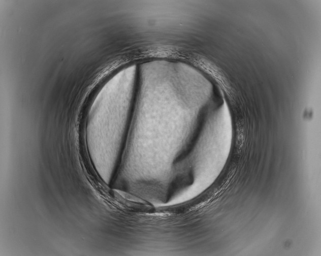 X0000098180626200805151141