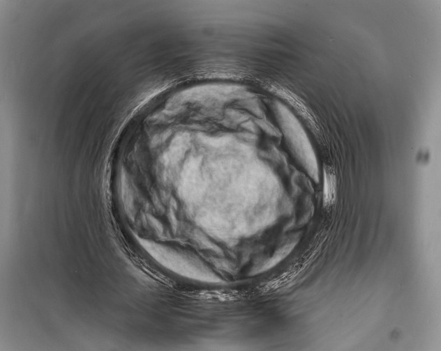 X0000098180627200805151141