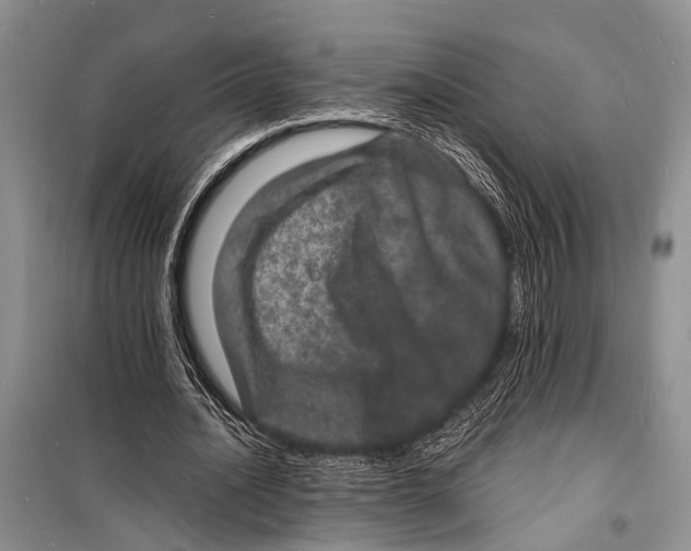 X0000098180628200805151141