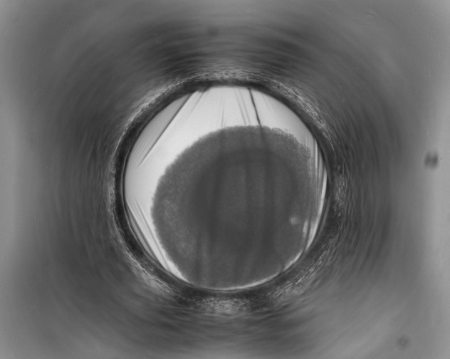 X0000098180629200805151141