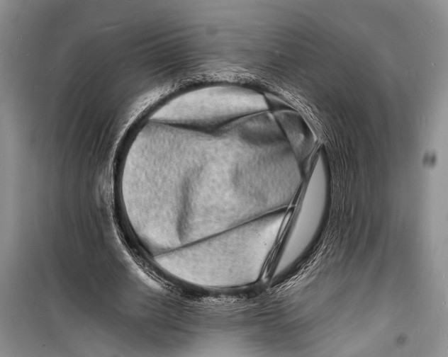 X0000098180630200805151141